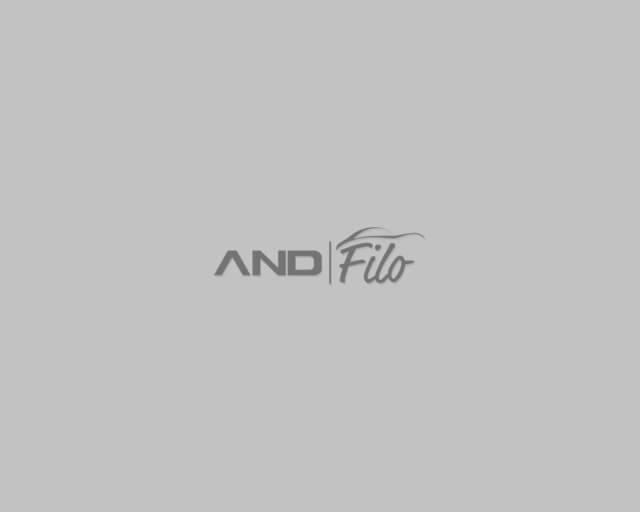 andfilo_logo