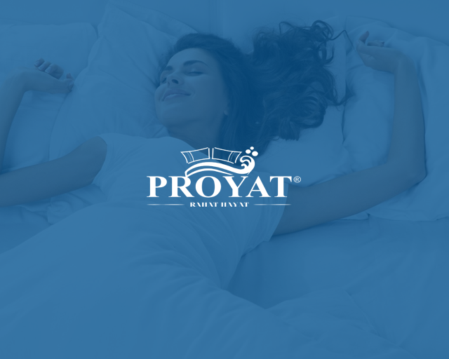 proyat_logo