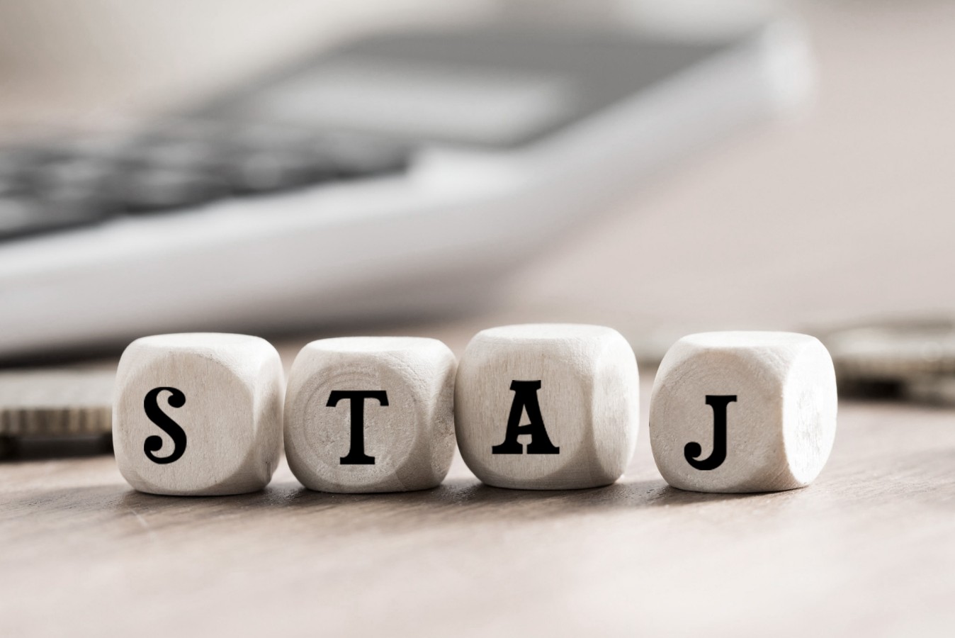 Technoone'da staj & kariyer